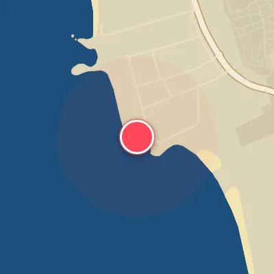 Spiders - Spot Location Picture